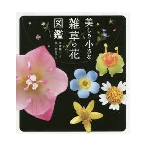 美しき小さな雑草の花図鑑 | 