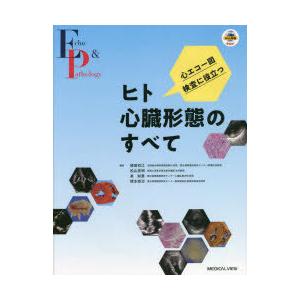 心エコー図検査に役立つヒト心臓形態のすべて