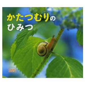 かたつむりさん専用 かたつむりのひみつ : ぐるぐる王国DS ヤフー店 - 通販 - Yahoo