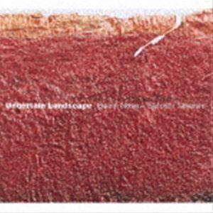 Eishin Nose ＋ Satoshi Takeishi / Uncertain Landscape [CD]｜dss