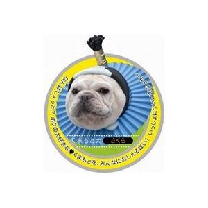 とど〜ふ犬 くまもとけん [DVD] | 