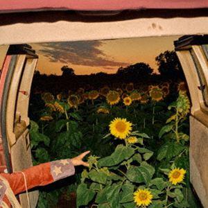 KEVIN MORBY / Little Wide Open（限定生産盤） [CD] | 
