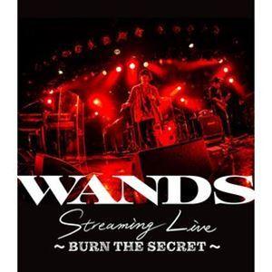 WANDS Streaming Live 〜BURN THE SECRET〜 [Blu-ray]｜dss