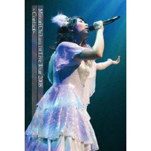 茅原実里／Minori Chihara 1st Live Tour 2008 Contact LIVE DVD [DVD] | 