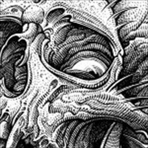 SHADOWS / Chain Reaction（CD＋DVD） [CD] | 