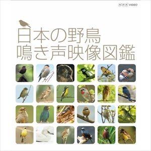 日本の野鳥 鳴き声映像図鑑 [Blu-ray]｜dss