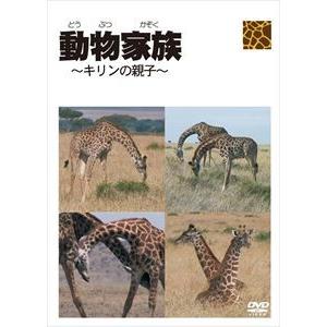 動物家族 〜キリンの家族〜 [DVD] | 