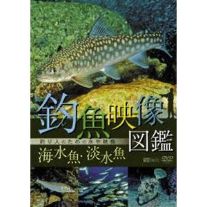 釣魚映像図鑑［海水魚・淡水魚］釣り人のための水中映像 [DVD] | 