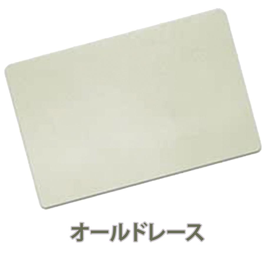 TRAD JAPAN（トラッドジャパン） バスマット 日本製 銀イオン配合 