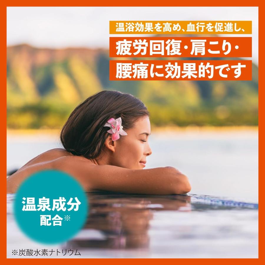 バスロマン アース製薬 旅するシリーズ 12 包 (4 アイテム×3 包) 入浴