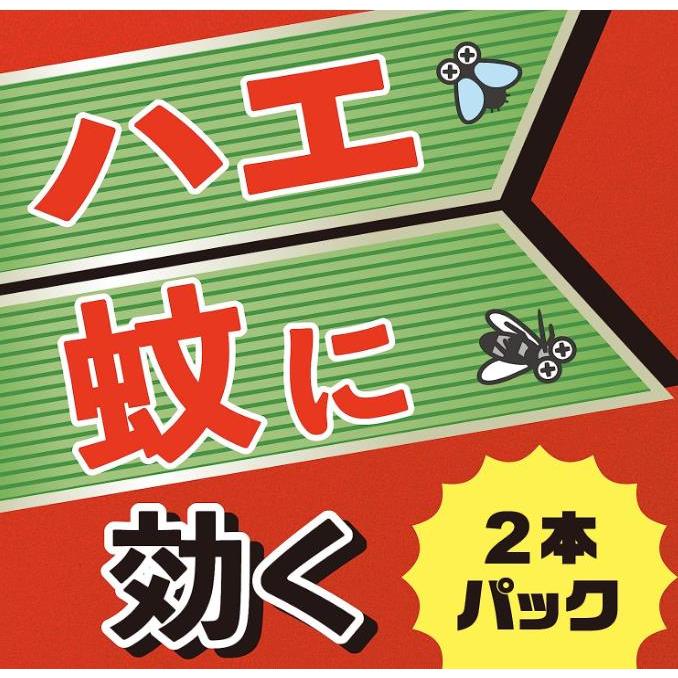 アースジェット アース製薬 お買い得パック 450ml 2本パック 殺虫剤 