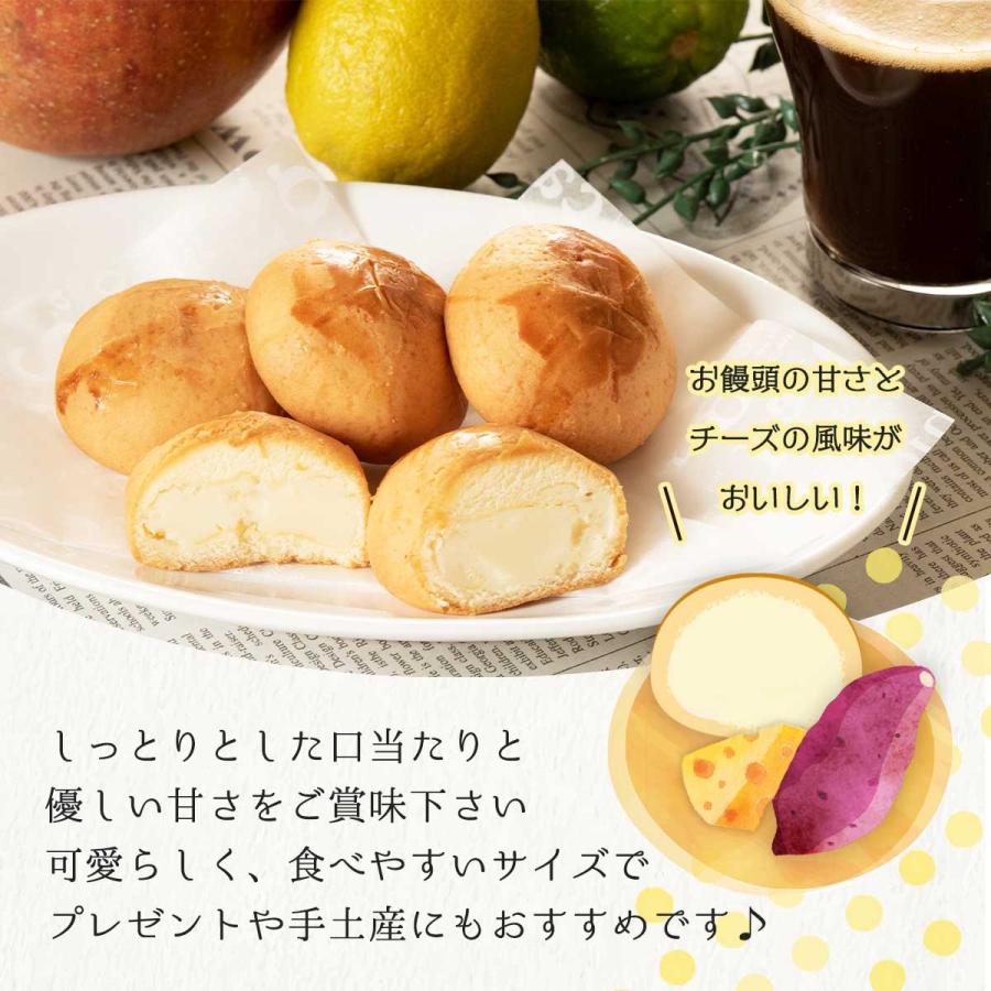 宮崎県 パティスリーhiroya まんじゅう お取り寄せ グルメ ギフト お菓子の浩屋 洋風チーズ饅頭 10個入 360g D Style Shop ヤフー店 通販 Yahoo ショッピング
