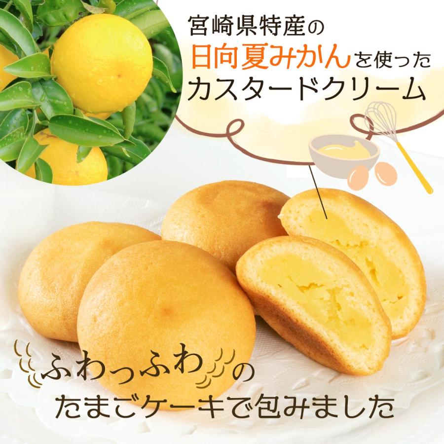 宮崎県 パティスリーひろや おいしい お取り寄せ グルメ ギフト お菓子の浩屋 日向夏ふわたま 10個入 360g D Style Shop ヤフー店 通販 Yahoo ショッピング