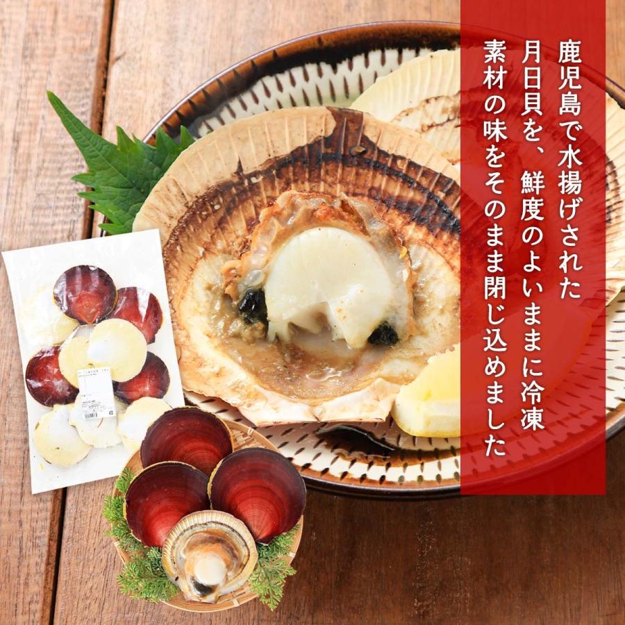 年末のプロモーション 丸山海産 魚介類 冷凍月日貝 1kg 鹿児島県産 月日貝 冷凍貝 貝殻 小味 刺身 カルパッチョ Cisama Sc Gov Br