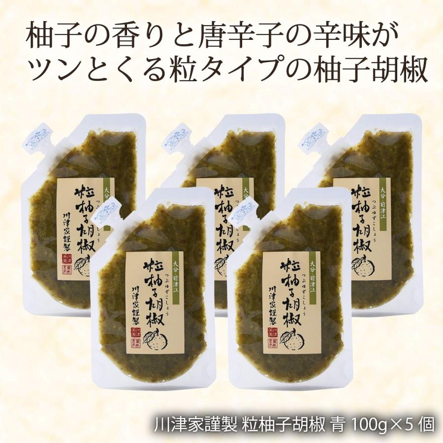 川津食品 川津家謹製 粒柚子胡椒 青 100g 5個 送料無料 セール ポイント消化 川津食品 川津家謹製 粒柚子胡椒 青 100g 5個セット 5 D Style Shop ヤフー店 通販 Yahoo ショッピング