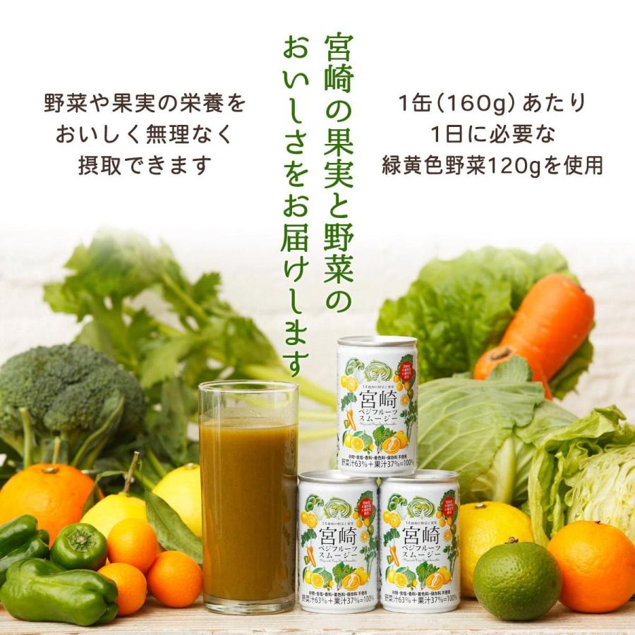 九州テーブル 宮崎ベジフルーツ スムージー 160g 缶 野菜ジュース 国産 宮崎県 ベジタブル フルーツ ヘルシー 果実 ブレンド 安全安心 緑黄色野菜 D Style Shop ヤフー店 通販 Yahoo ショッピング