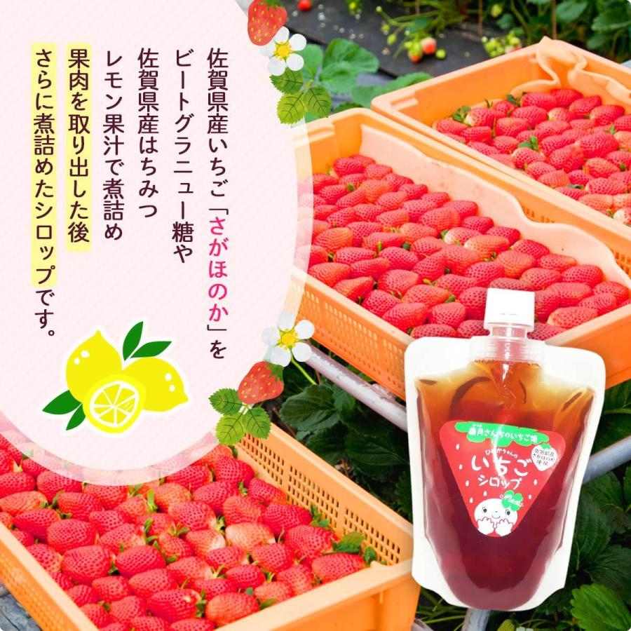 人気激安 イチゴ シロップ お取り寄せ グルメ ギフト 香月さんちのいちご畑 いちごシロップ エコ 300g Materialworldblog Com