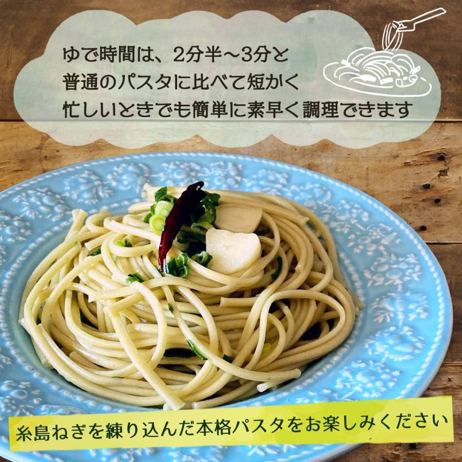 Carna 熟成 手延べ麺 葱香 パスタ 60g 簡単 アレンジ ペペロンチーノ おしゃれ 手抜き 鴨頭ねぎ D Style Shop ヤフー店 通販 Yahoo ショッピング