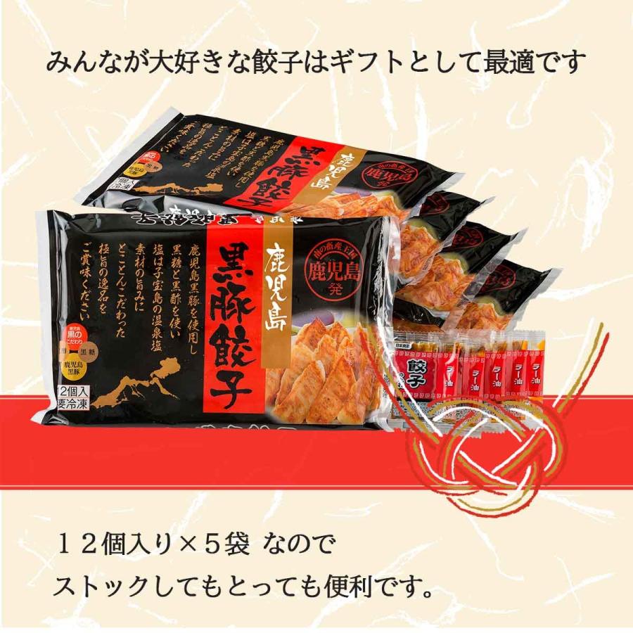 送料無料 お中元 残暑見舞い お取り寄せ グルメ 帰省 土産 グルメ スタジアム 鹿児島 黒豚 餃子 お中元 残暑見舞い お歳暮 お取り寄せ 贈答用 D Style Shop ヤフー店 通販 Yahoo ショッピング