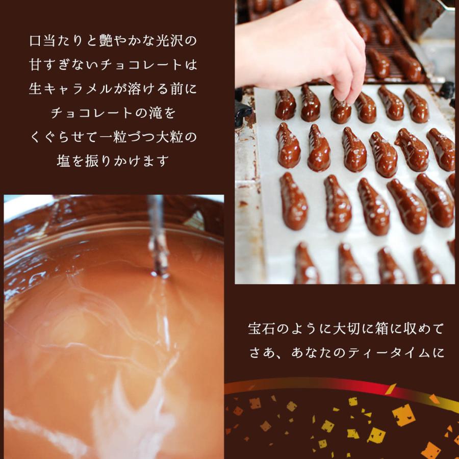 いわきチョコレート チョコレート めひかり塩チョコ カカオ70 ビター 10個 バレンタイン ホワイトデー 土産 いわき チョコレート 福島 塩キャラメル 濃厚 D Style Shop ヤフー店 通販 Yahoo ショッピング