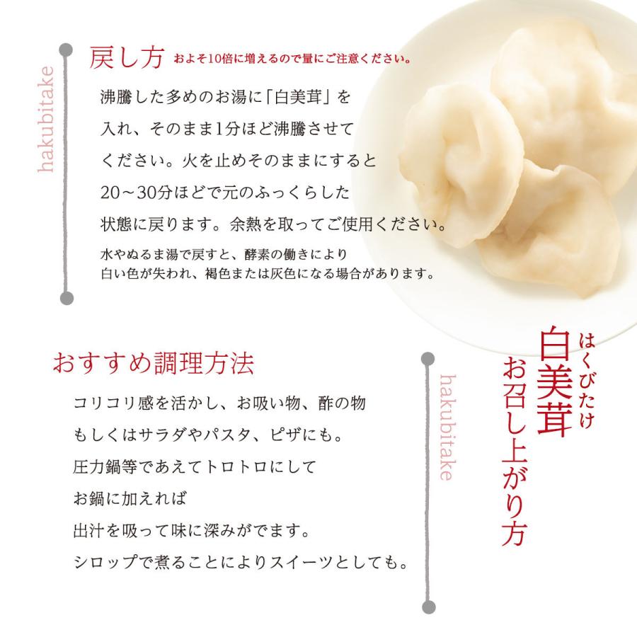 キクラゲ 佐賀 唐津 きくらげ グレイスファーム 白いきくらげ 白美茸 乾燥 13g D Style Shop ヤフー店 通販 Yahoo ショッピング