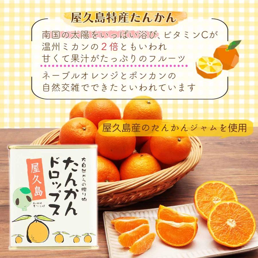 1円 女性が喜ぶ 馬場製菓 飴 大自然からの贈り物 屋久島たんかんドロップス 85g 屋久島 土産 たんかん ドロップ おやつ お菓子