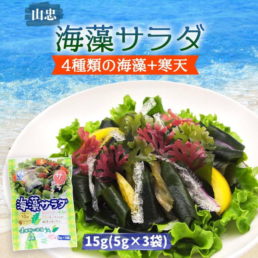 山忠 乾物 海藻サラダ 15g 5g 3袋 サラダ 海藻 糸かんてん 酢の物 海藻スープ つま 海藻サラダ D Style Shop ヤフー店 通販 Yahoo ショッピング