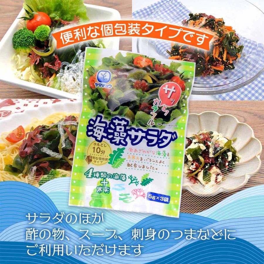 送料無料 山忠 乾物 海藻サラダ 15g 5g 3袋セット サラダ 海藻 糸かんてん 酢の物 海藻スープ つま 海藻サラダ 1 D Style Shop ヤフー店 通販 Yahoo ショッピング