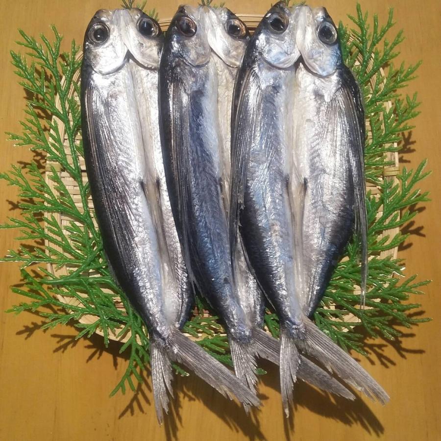 長崎県産 ひもの とびうお お取り寄せ グルメ ギフト 山道水産 飛び魚汐干し 有頭 1g 3枚 D Style Shop ヤフー店 通販 Yahoo ショッピング