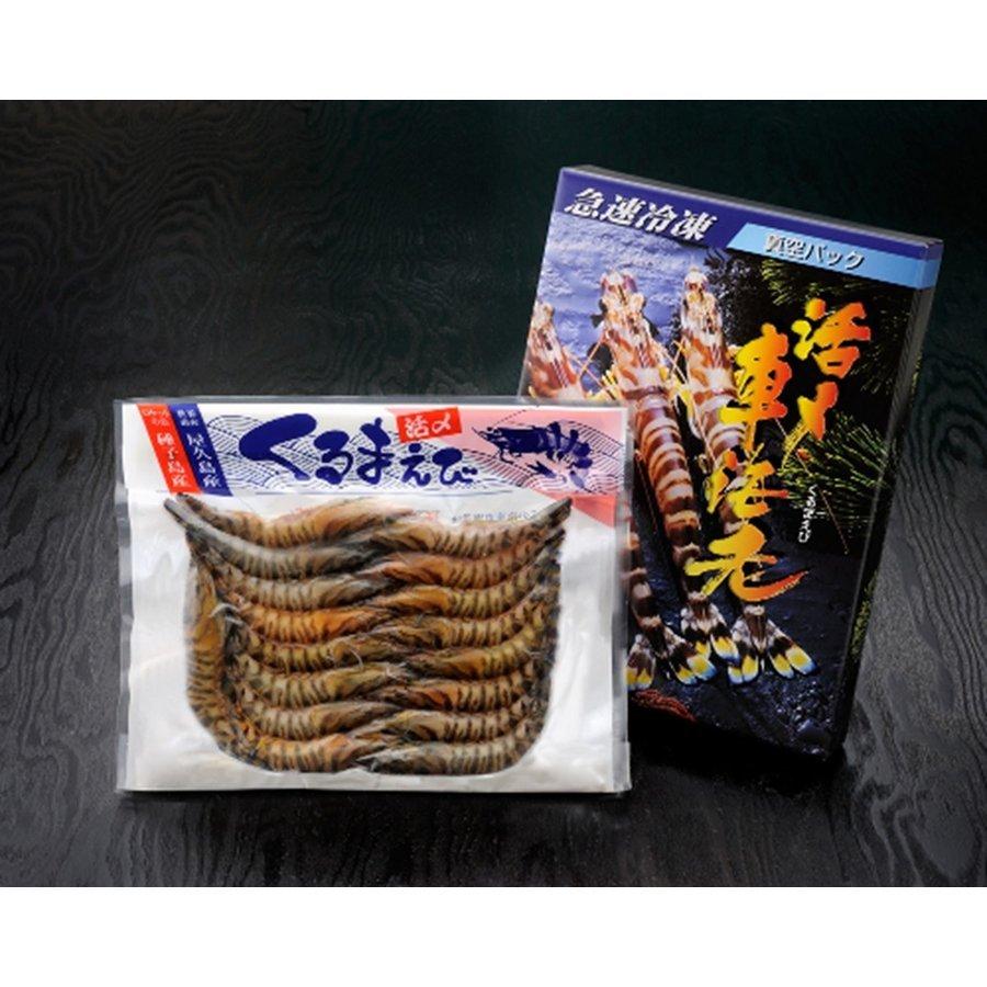 エビ えび おいしい お取り寄せ グルメ ギフト 鹿児島マリナーズ 活〆冷凍車海老 特大 300g 6 8尾 Morenotafurt Com