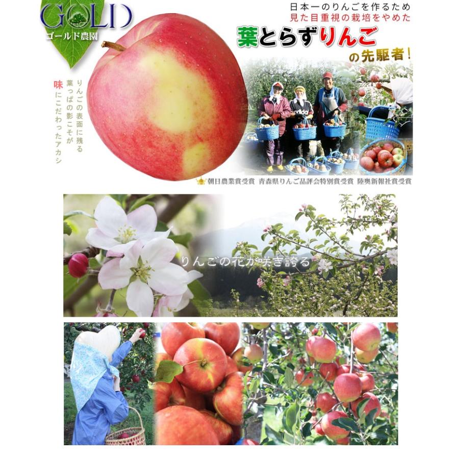 100%安い 青森 りんごジュース GOLD農園 ”りんご100%ストレートジュース 林檎園” 1000g×6本 送料無料 www.caraubas.rn.gov.br 100%安い 青森 りんごジュース GOLD農園 ”りんご100%ストレートジュース 林檎園” 1000g×6本 送料無料 www.caraubas.rn.gov.br