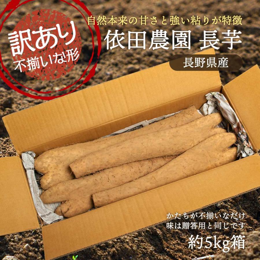 11月中旬 12月上旬頃発送予定 訳あり 依田農園 長野県産 依田さん家の 長芋 ふぞろいな形 約5kg箱 ながいも 長イモ 長いも 国産 信州 D Style Shop ヤフー店 通販 Yahoo ショッピング