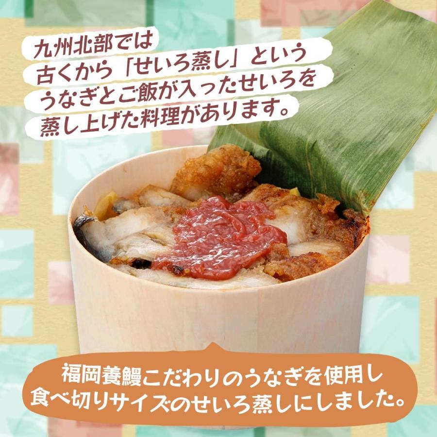 福岡養鰻 うなぎ 九州産 手焼き うなぎ 使用 まんてん せいろ 4個 ギフト 国産 鰻 父の日 贈り物 丑の日 プレゼント お礼の品 内祝い 母の日 敬老の日 D Style Shop ヤフー店 通販 Yahoo ショッピング