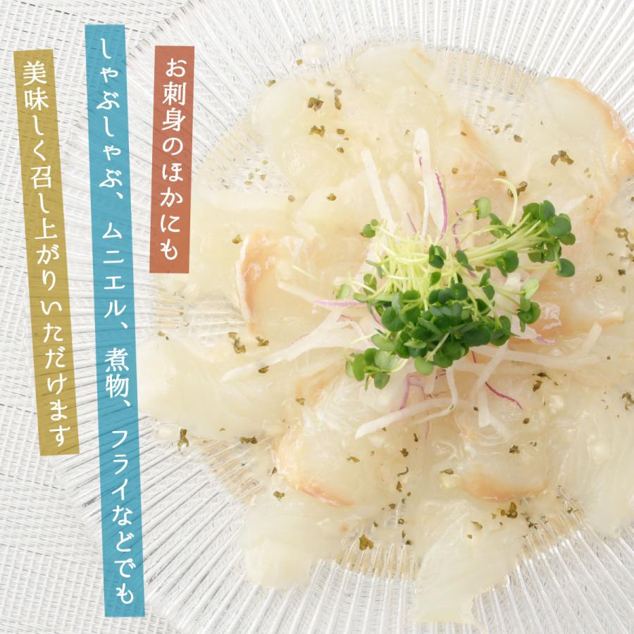 国内正規総代理店アイテム ひらめ 冷凍 フィーレ 230g ヒラメ 切り身 刺身 刺し身 さしみ フィレ 食べきり 九州 鹿児島 甑海峡 薩摩川内市 送料無料 Nrockconstruction Com