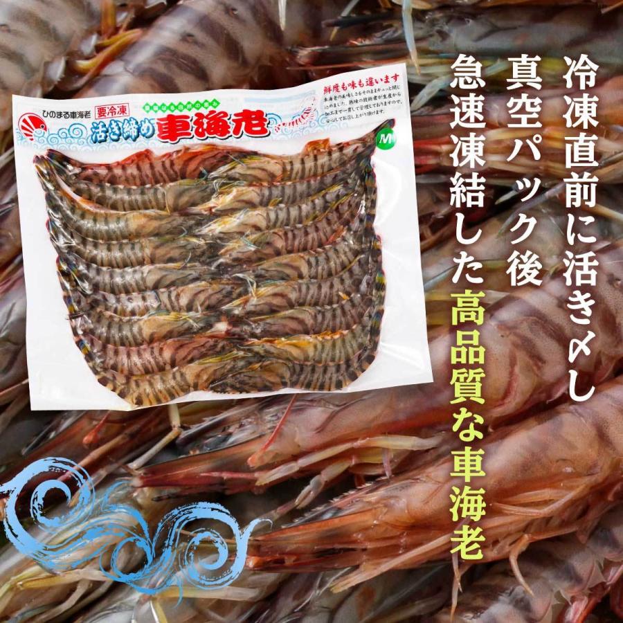 ひのまる車海老 海老 活き〆冷凍車海老 Mサイズ 1p 17 21尾 300g 車エビ 車えび ギフト お中元 お歳暮 天ぷら 塩焼き D Style Shop ヤフー店 通販 Yahoo ショッピング