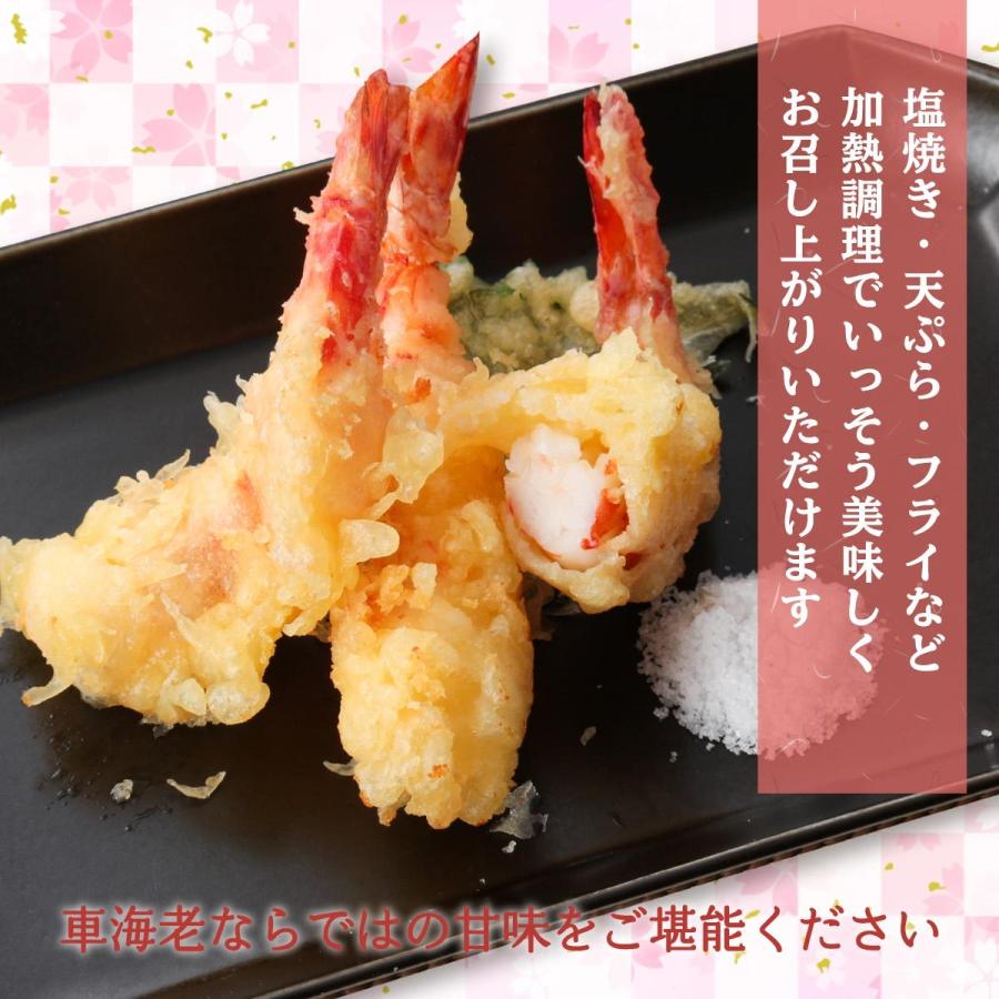 ひのまる車海老 海老 活き〆冷凍車海老 特大サイズ 1p 6 7尾 300g 車エビ 車えび ギフト お中元 お歳暮 天ぷら 塩焼き D Style Shop ヤフー店 通販 Yahoo ショッピング