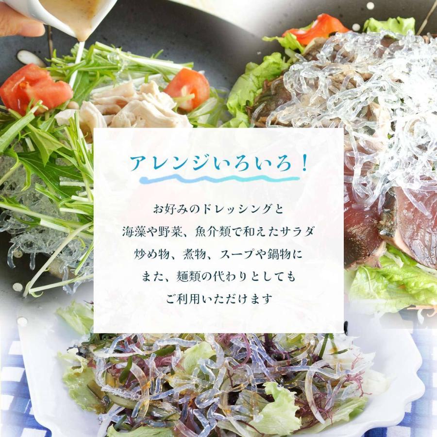 名作 業務用 海藻麺 1kg 5色ミックス 海藻サラダ