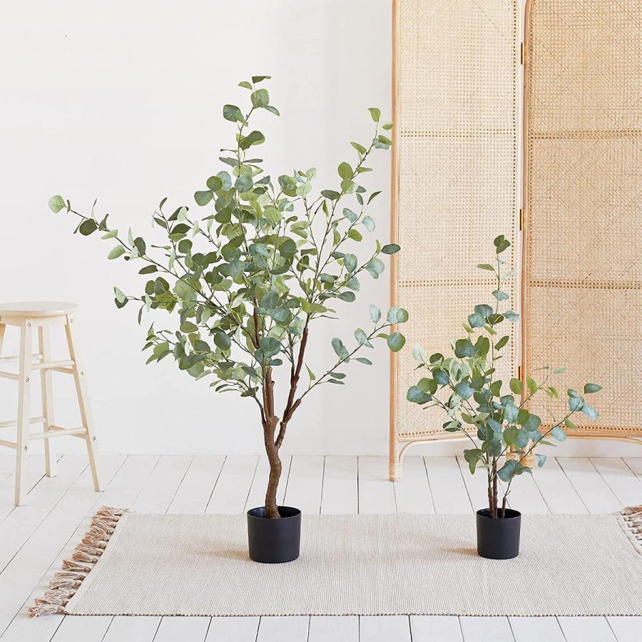 Roomnhome ルームアンドホーム 人工観葉植物 ユーカリ 95 韓国雑貨 35 12 5 95cm フェイクグリーン 観葉植物 インテリア 人口観葉植物 D Style Shop ヤフー店 通販 Yahoo ショッピング