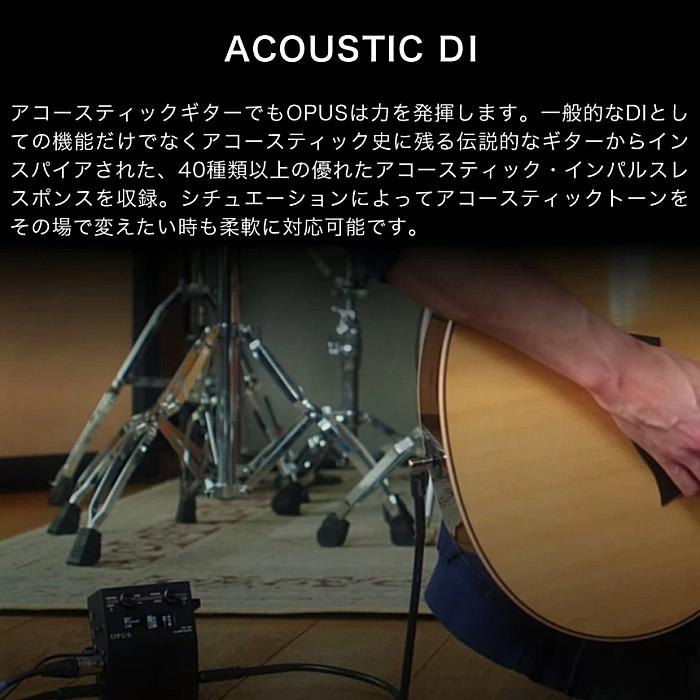 Two notes Opus トゥーノーツ アンプ＆キャビネット シミュレーター