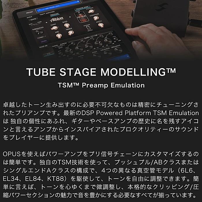 Two notes Opus トゥーノーツ アンプ＆キャビネット シミュレーター