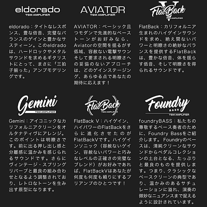 Two notes Opus トゥーノーツ アンプ＆キャビネット シミュレーター