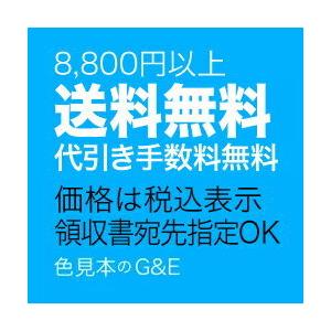 PANTONE パントン パステル＆ネオン差替 コート紙 ページ C16 (色番号 9424C 9440C 9441C 9442C 9461C ...