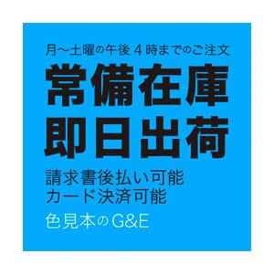 PANTONE パントン パステル&ネオン差替 コート紙 ページ C27 色