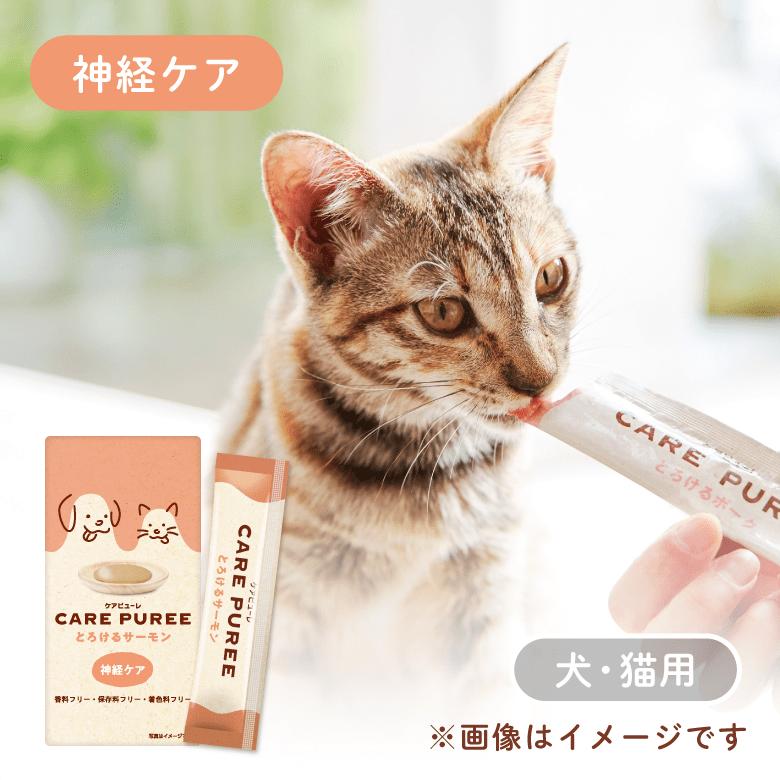 アニコムパフェ 犬＆猫用 デンタルケア4本セット アニコムパフェ 犬