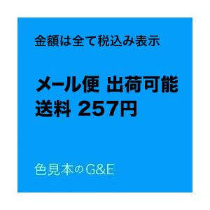 紙と印刷の文化録 記憶と書物を担うもの 印刷学会出版部 追跡可能メール便可｜dtp｜03