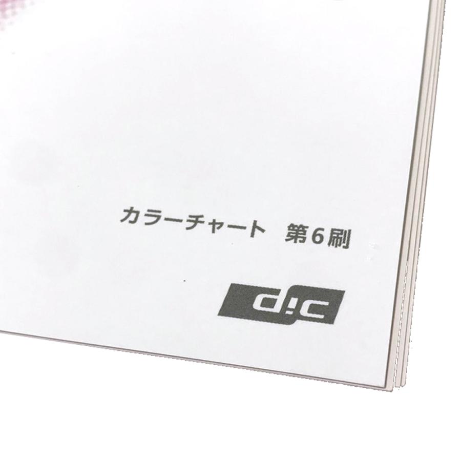 DIC カラーチャート 第6刷 最新版 旧セルリング型カラーチャート