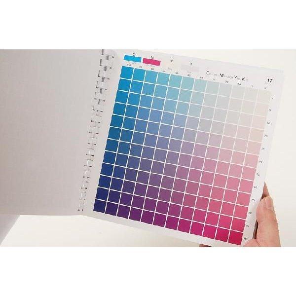 DICセルリング型カラーチャート 第5刷 色見本帳 CMYK プロセス DICセルリング型カラーチャート 第5刷 色見本帳 CMYK プロセス