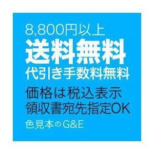 DICカラーガイド PART2(4.5.6) 第5版 色見本 : 色見本のG&E DICカラーガイド PART2(4.5.6) 第5版 色見本 : 色見本のG&E