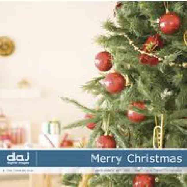 DAJ elm002 Merry Christmas 爆買