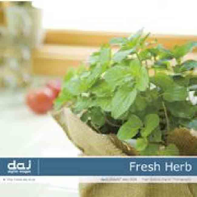 DAJ elm004 Fresh Herb 爆買